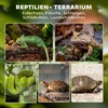 Aosom Stiklinis terariumas ropliams, juodas, 50 x 30 x 25 cm