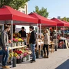 Promotion 10x10 pėdų sulankstomas pavėsinė