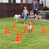 Koduva 3 dalių šunų agility kliūčių rinkinys, oranžinė / geltona, ABS, 80 x 22,5 x 30 cm