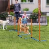 Koduva 3 dalių šunų agility rinkinys, oranžinė, mėlyna, juoda, 65 x 64 x 69 cm