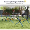 Koduva 4 dalių šunų agility rinkinys, oranžinė, mėlyna, juoda, 87 x 56 x 41 cm