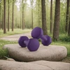 Koduva Hantelių rinkinys, 2 vnt., 2 x 2kg, ketaus su neopreno danga, pelenų alyvinė