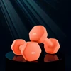 Koduva Hantelių rinkinys, 2 vnt., 2 x 3kg, ketaus su neopreno danga, oranžinis