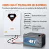 VEVOR Hibridinis saulės inverteris EM5500-48L, 5500 W, 230 V