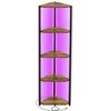 Songmics Kampinė knygų lentyna su 5 lentynomis ir reguliuojamu LED apšvietimu, ruda, 24,8 x 48 x 146,6 cm