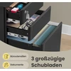Songmics Mobili dokumentų spintelė su ratukais, 50 x 39 x 59 cm, plienas ir PP plastikas, juoda