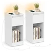 Koduva Naktinis staliukas su LED apšvietimu, USB-A ir USB-C jungtimis, stalčiumi, 30 x 25 x 59,5 cm
