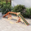 Koduva Šunų agility rampa, neslystanti, atspari orui, medinė, 335 x 55 x 60 cm, oranžinė