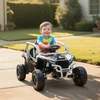 Koduva Vaikiškas elektrinis UTV KAWASAKI TERYX KRX 1000, 12 V, pilkas