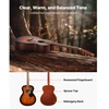 Koduva VEVOR 40 colių dreadnought akustinė gitara pradedantiesiems, sunburst, su gig bag