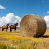 VEVOR Apvalaus šieno rulono tinklas, 1,5 x 1,5 x 1,5 m, 42 x 42 mm akutės