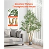 VEVOR Dirbtinė alyvmedžio medelis 180 cm, juodas vazonas, žalias, su natūralios medienos kamienu
