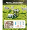 VEVOR Ožkų melžimo mašina, 3 l nerūdijančio plieno talpa, 5200 mAh baterija, 2 spenelių puodeliai