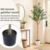 Promotion 2 dirbtinių alyvmedžių rinkinys, 150 cm, žalia ir juoda
