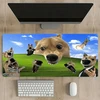 Pelės kilimėlis "Doge Memes", 80x40cm