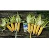 Bioaktyvatorius augalams BioAktiv Plants 5kg, 25kg, BioAktiv: 5kg