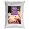 Pašarų priedas kiaulėms BioAktiv 5kg, 20kg, BioAktiv: 20 kg