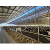 Pašarų priedas galvijams Salis BioAktiv 5kg, 25kg, BioAktiv: 25 kg