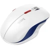 Belaidė pelė Hoco GM40 RGB balta