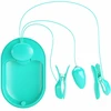 Pretty Love Flirtation Mėlyna Pretty Love Surprise Box Mėlyna Electro Stimulation Intimate Clips USB