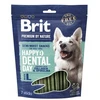 BRIT Premium Dog Snack Dental L - dog treat - 250g