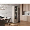 Cama Meble Cama S1 SOHO display cabinet 60x41x192 cashmere + juodas