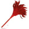 Darkness Sensations Darkness Sensual Feather Teaser 24cm Raudona - Ergonomic Handle, Soft Touch
