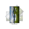 Dell | P3225QE | 32 " | IPS | 4K UHD | 16:9 | 100 Hz | 5 ms | 3840 x 2160 pikselių | 350 cd/m² | HDMI jungtys quantity 1