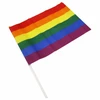 Pride Diablo Picante Medium Pennant Rainbow LGBT Flag 30x19.5 cm
