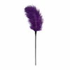EasyToys Feather Tickler Violetinė - Sensual Touch Priedas, 27 cm