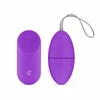 EasyToys Vibrating Egg Remote Control Violetinė - Compact Wireless Model