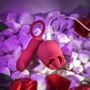 Evolved Wild Rose Intimate Tongue System Raudona, Dual Motor, USB Rechargeable