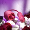 Evolved Wild Rose Intimate Tongue System Raudona, Dual Motor, USB Rechargeable