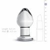 Glas Intimate Plug Model No. 26 Clear Glass Medium Size