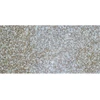 Granito plytelės G664