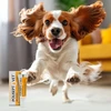 JM SANTE Polisept Vet Recovery - energijos papildas šunims ir katėms – 12 ml