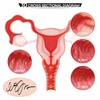 Kokos Real Hips 004 Intimate Machine Vanilla Double Layer TPE