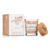 Magnetifico Sandalwood Body Massage Candle with Pheromones 70ml, Long Burn