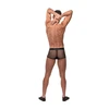 Male Power x Boneyard Juodas Short Boxer with Raudona Silicone Ring L