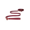 Ouch By Shots OUCH HALO Premium Collar and Leash Set - Gold Accents, Adjustable Fit