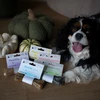 PAKA ZWIERZAKA Pepe Vet Healthy Joints – skanėstas šuniui – 13,5cm