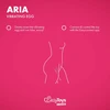 Pink Rožinė EasyConnect Aria Vibrating Egg - App-Controlled Wireless Device, Rožinė