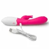 Pink EasyToys Ascella Dual-Motor Silicone Intimate Machine Rožinė USB Rechargeable
