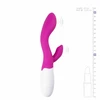 Pink Rožinė Easytoys Lily 2.0 Rechargeable Dual-Action Vibrator Rožinė