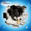 Purina Nestle Dentalife Mini – skanėstas šuniui – 69g