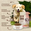 Vetexpert Raw Paleo Healthy Grain Puppy lašiša ir miežiai - sausas šunų maistas - 10 kg