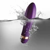 Rocks-Off Twister 10-Mode Atsparus vandeniui Intimate Massager, Violetinė Silicone