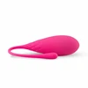 Satisfyer Set of 6 Progressive Pelvic Floor Training Balls 35-130g