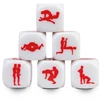 Secretplay 100 Games Secret Play Dice Game Kamasutra Gay 25mm - Fun Themed Dice Set