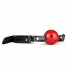 Secret Pleasure Chest Raudona Dragon 8-Piece Adjustable Bondage Kit